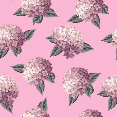 Seamless botanical pattern with pink hydrangeas. Vector.