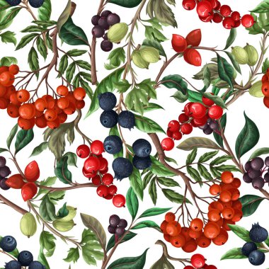 Seamless pattern with berries, such as rowan, blueberries and other. Vector