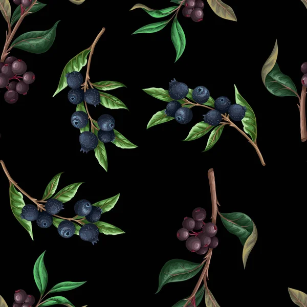 Seamless pattern with blueberries. Vector