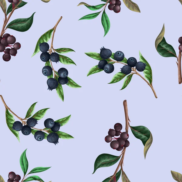 Seamless Pattern Blueberries Vector — Vector de stock