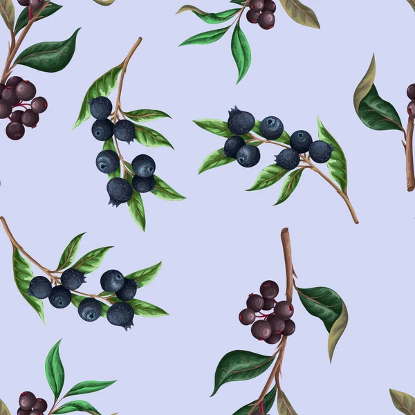 Seamless pattern with blueberries. Vector