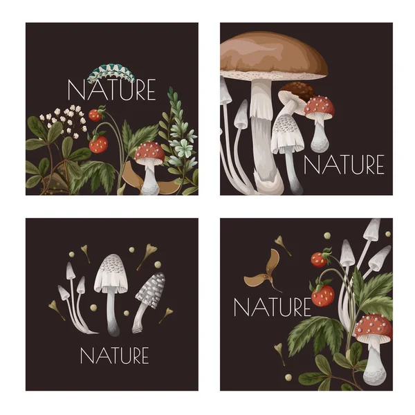 Autumn cards with mushrooms, berries and bugs. Natural trendy print