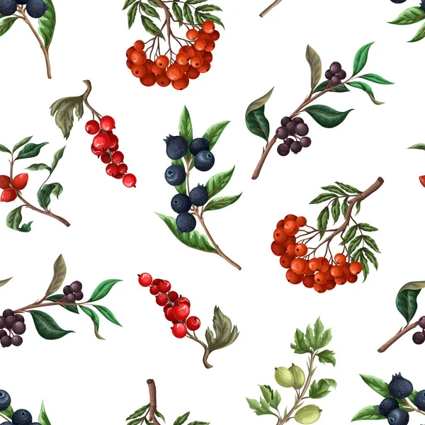 Seamless Pattern Berries Rowan Blueberries Other Vector — Stockvektor