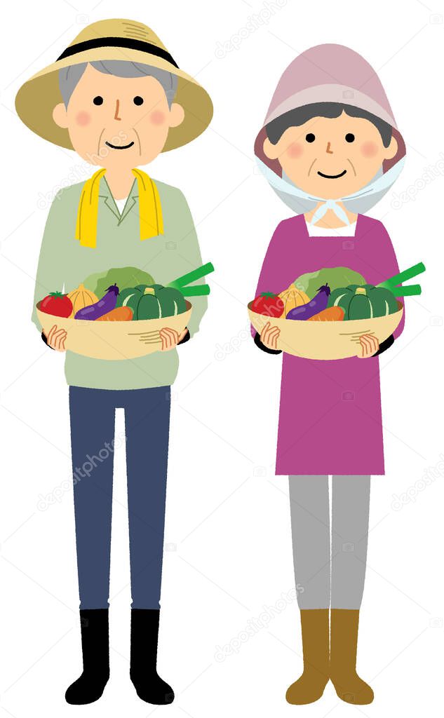 Farmers who harvested vegetables/It is an illustration of farmers who harvested vegetables.