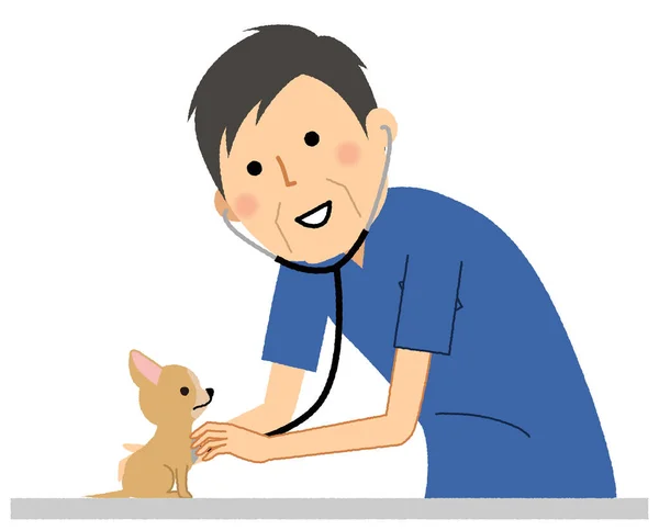 兽医检查狗 这是一个男兽医检查狗的例子 — 图库矢量图片