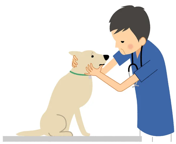 Veterinario Examinando Perro Una Ilustración Veterinario Masculino Examinando Perro — Vector de stock