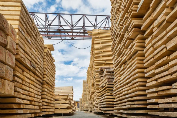 Madeira Serrada Dura Abeto Pinheiro Empilhada Uma Serraria Dentro Armazém — Fotografia de Stock