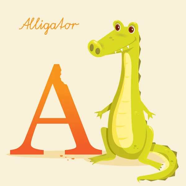 Animal alphabet with alligator — Stock Vector