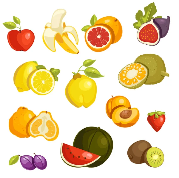 Fruits Set isolated — Stock Vector