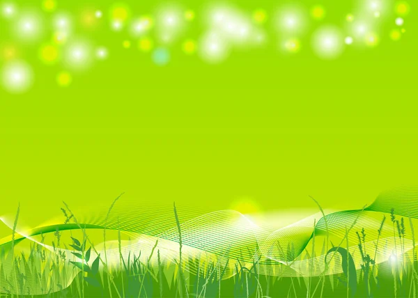 Spring background — Stock Vector