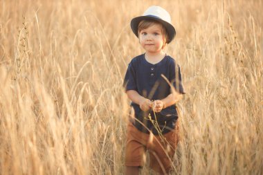 Portrait of cute caucasian little boy 2-3 years old in a straw hat walking and playing in a wheat field on a summer day at sunset 