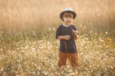 Portrait of cute caucasian little boy 2-3 years old in a straw hat walking and playing in camomile flowers field on a summer day at sunset 