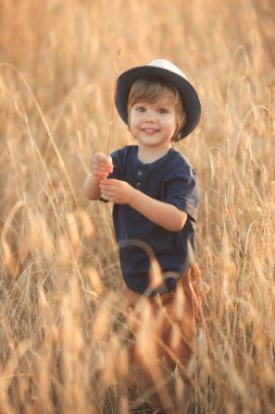 Vertical portrait of cute caucasian little boy 2-3 years old in a straw hat walking and playing in a wheat field on a summer day at sunset 