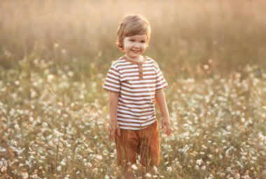 Portrait of cute caucasian little boy 2-3 years old in casual clothes walking and playing in a wheat field on a summer day at sunset 