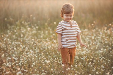 Portrait of cute caucasian little boy 2-3 years old in casual clothes walking and playing in a wheat field on a summer day at sunset 