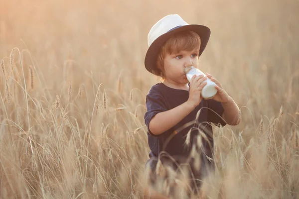 Hungry cute toddler: little boy 2-3 years old drinks milk from a glass bottle on a summer day in wheat field — Stock fotografie