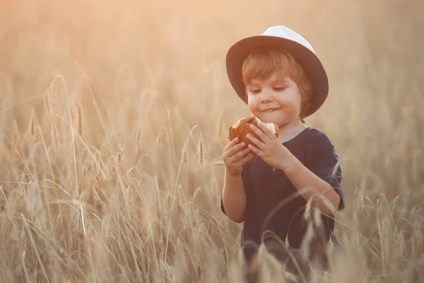 Cute and funny little boy 2-3 years old in a straw hat eating a fresh sweet bun in a wheat field on a summer day at sunset — стоковое фото
