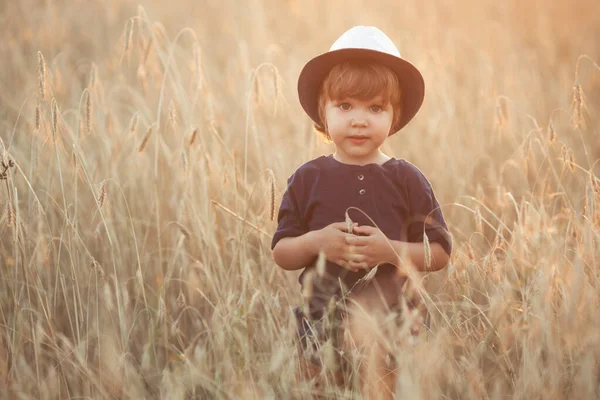 Portrait of cute caucasian little boy 2-3 years old in a straw hat walking and playing in a wheat field on a summer day at sunset — Stock fotografie