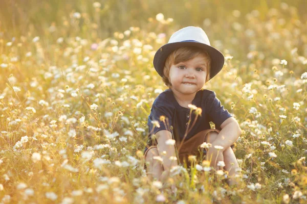 Portrait of cute caucasian little boy 2-3 years old in a straw hat sitting and playing in camomile flowers field on a summer day at sunset — Stock fotografie