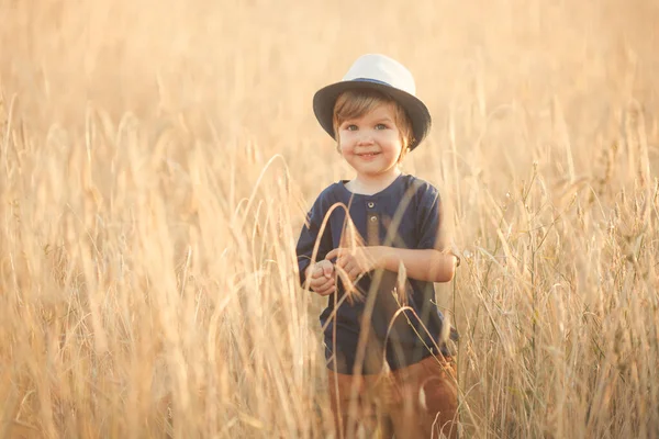 Portrait of cute caucasian little boy 2-3 years old in a straw hat walking and playing in a wheat field on a summer day at sunset — Stockfoto