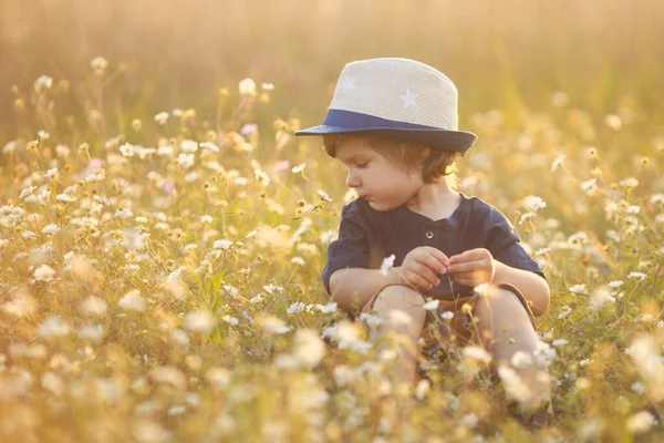 Portrait of cute caucasian little boy 2-3 years old in a straw hat sitting and playing in camomile flowers field on a summer day at sunset — ストック写真
