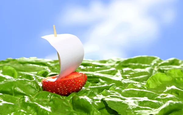 Boat, made of fresh strawberry — Stock Photo, Image