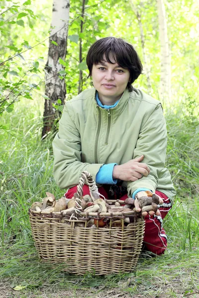 Girl in forest next to a basket of mushrooms — Stock Image Girl in forest next to a basket of mushrooms Royalty Free Stock Photos