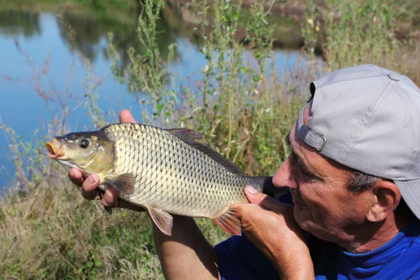 La carpa en la mano del pescador — Foto de Stock