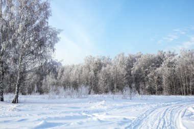 Kar altında kış parkı