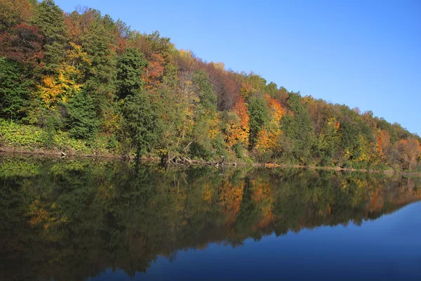 Orman Nehri üzerinde