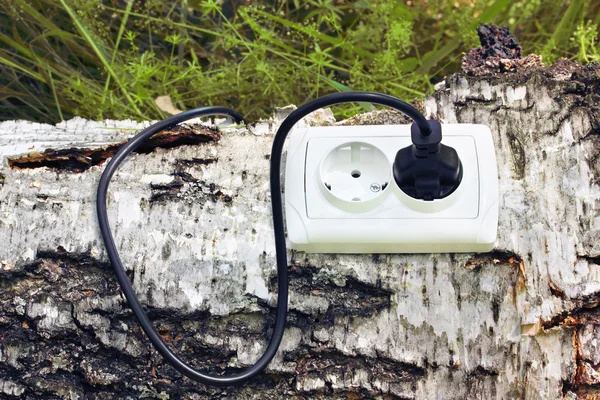 Strömuttag och switchplug på ett träd — Stockfoto