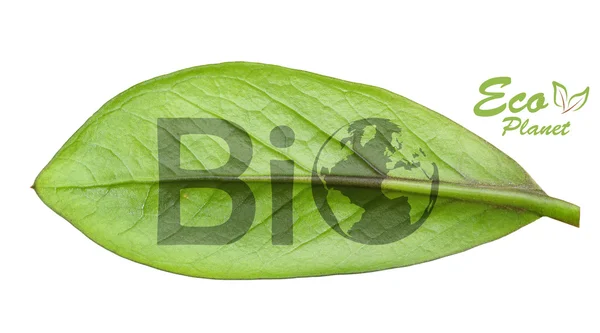 Green earth concept — Stock Photo, Image