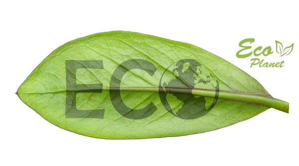 Green earth concept — Stock Photo, Image