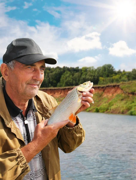 Chub in the hand of fisherman — Stock Photo, Image