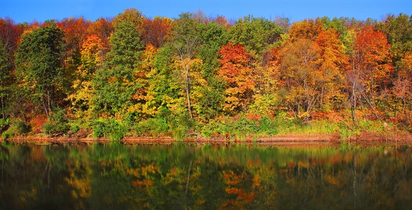 Orman Nehri üzerinde — Stok fotoğraf