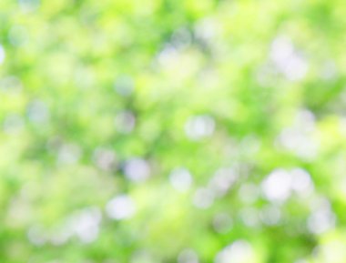 Doğal yeşil arkaplan