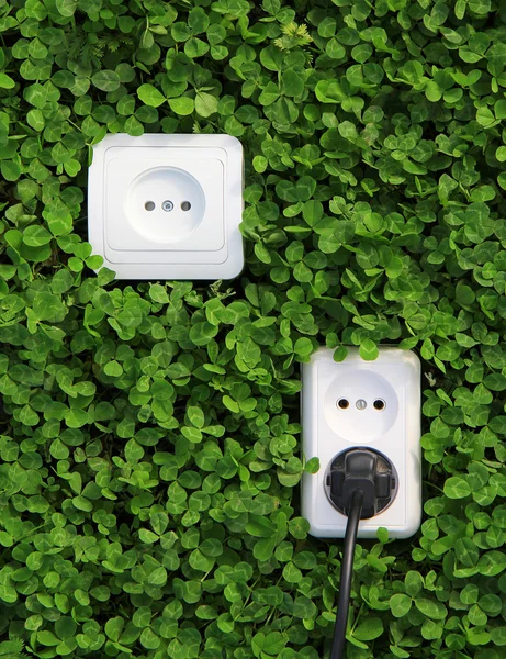 Electric power receptacle on a green grass background — Stock Photo, Image