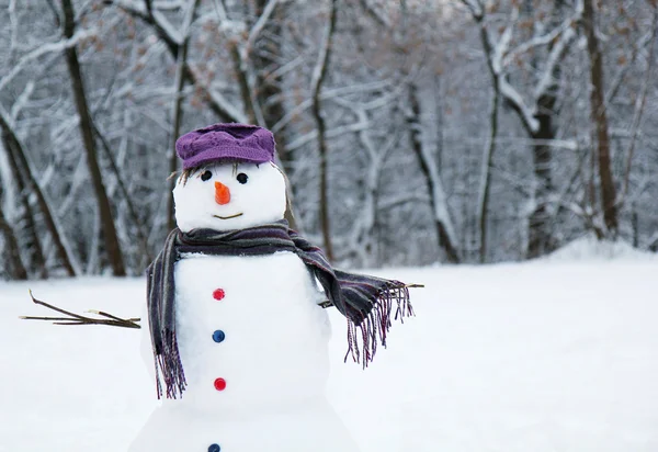 Gelukkig sneeuwpop — Stockfoto