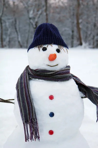 Lykkelig snømann – stockfoto