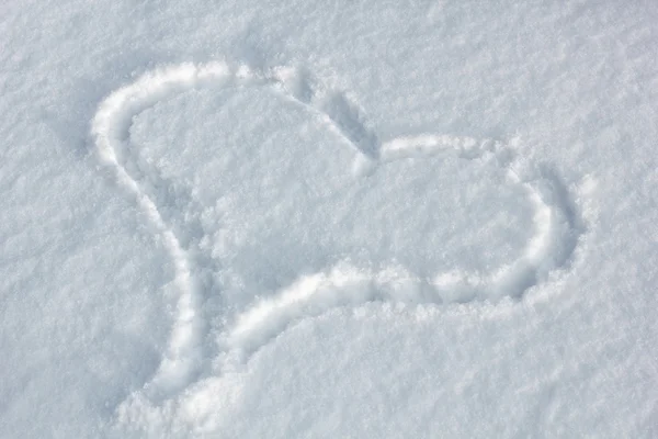 Hart in sneeuw — Stockfoto