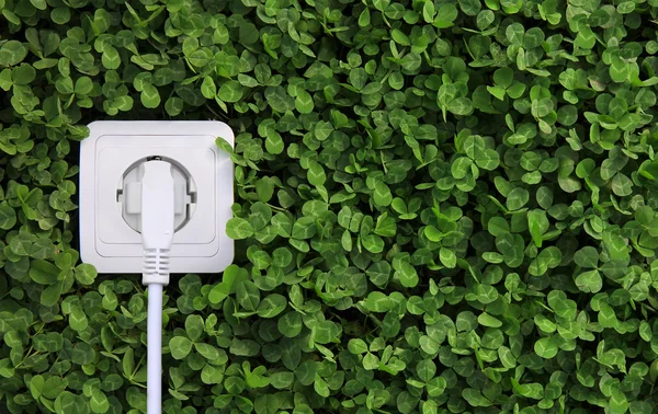 Electric power receptacle on a green grass background — Stock Photo, Image
