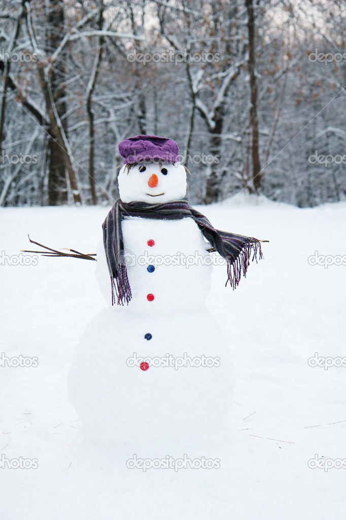 happy snowman