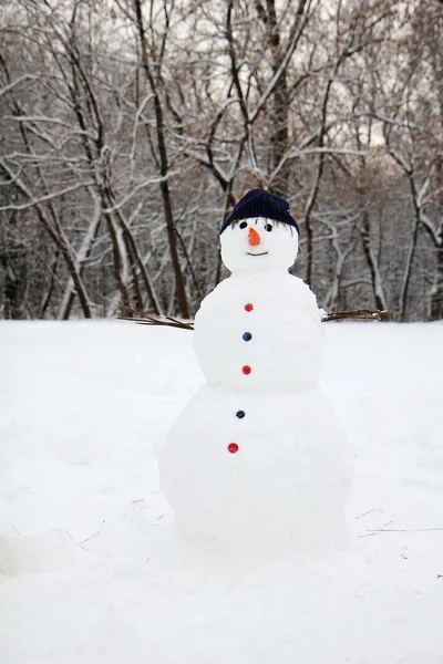 Snow man standing close up — стоковое фото