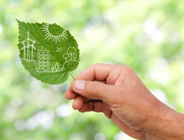 Hand holding Green city concept, cut the leaves of plants — Stock Photo, Image