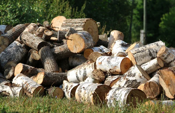 Dry chopped firewood logs in pile. — Stock Photo, Image
