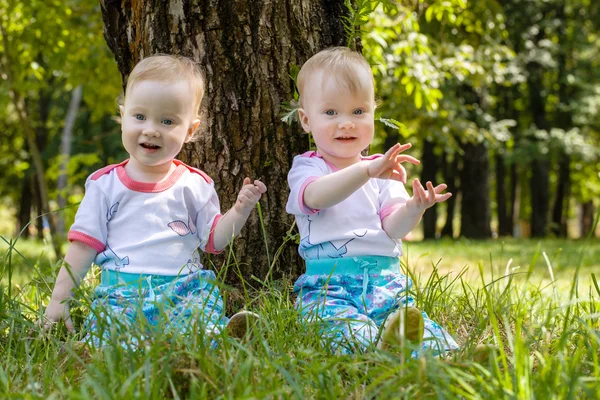 Meninas gêmeas caminham no parque no verão — Fotografia de Stock