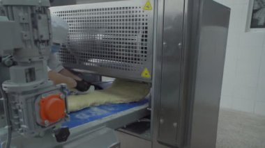 Yarı bitmiş et ürünleri üretimi için fabrikadaki hamur köftelerinin modellenmesi.