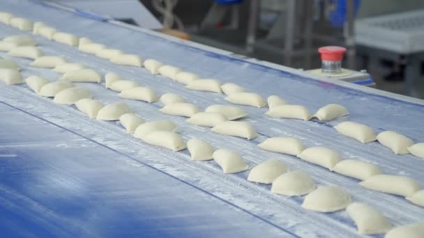 Modellering van dumplings in de fabriek voor de productie van vleeshalffabrikaten Stockvideo