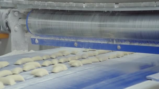 Modellering van dumplings in de fabriek voor de productie van vleeshalffabrikaten Stockvideo's