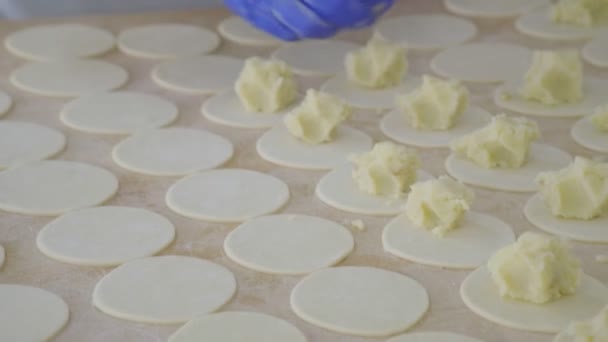 Handmatig modelleren dumplings. Modellering van dumplings in de fabriek voor de productie van vleeshalffabrikaten — Stockvideo